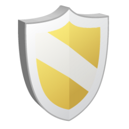 Protect Yellow Icon 256x256 png
